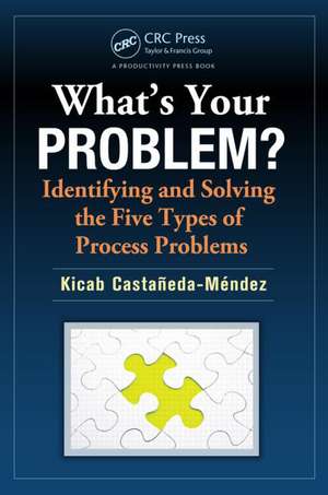 What's Your Problem? Identifying and Solving the Five Types of Process Problems de Kicab Castaneda-Mendez