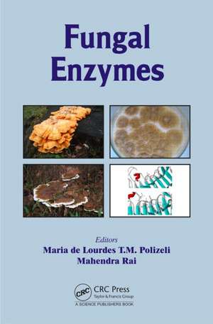 Fungal Enzymes de Maria de Lourdes T. M. Polizeli