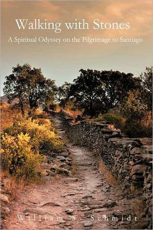 Walking with Stones de Schmidt, William S.