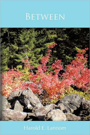 Between de Harold E. Lannom