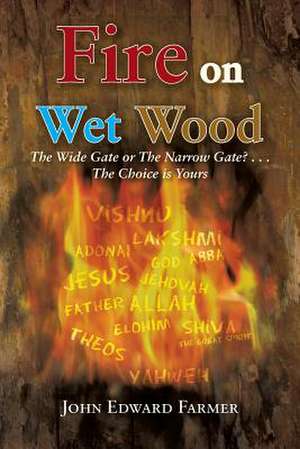 Fire on Wet Wood de John Edward Farmer