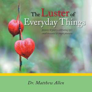 The Luster of Everyday Things de Matthew Allen