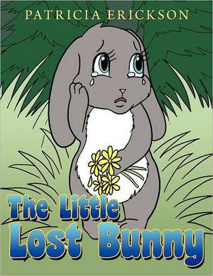 The Little Lost Bunny de Patricia Erickson