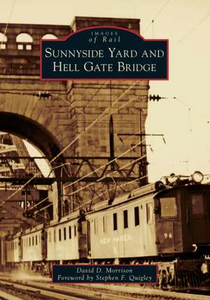 Sunnyside Yard and Hell Gate Bridge de David D. Morrison