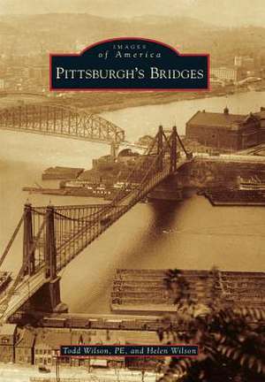 Pittsburgh's Bridges de Todd Wilson Pe