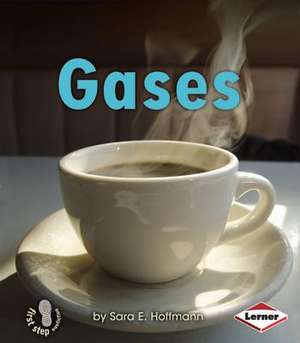 Gases de Sara E. Hoffmann