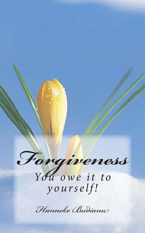 Forgiveness de Mrs Hanneke Budianu