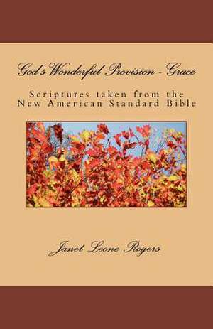 God's Wonderful Provision - Grace de Miss Janet Leone Rogers