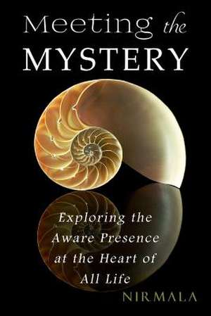 Meeting the Mystery de Nirmala Nirmala