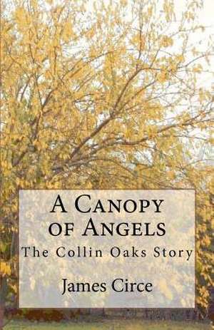 A Canopy of Angels de James Circe