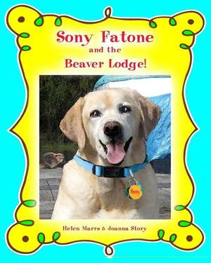 Sony Fatone and the Beaver Lodge de Helen M. Marrs