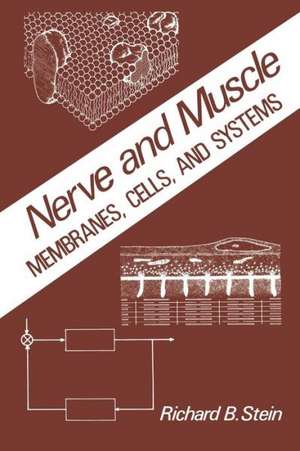 Nerve and Muscle: Membranes, Cells, and Systems de R. Stein