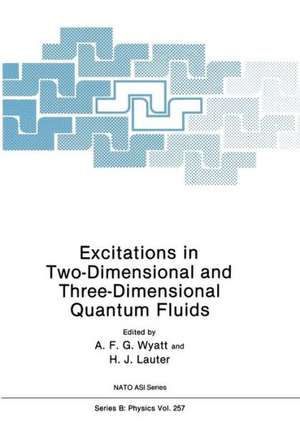 Excitations in Two-Dimensional and Three-Dimensional Quantum Fluids de A.F.G. Wyatt