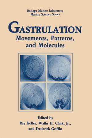 Gastrulation: Movements, Patterns and Molecules de Ray Keller