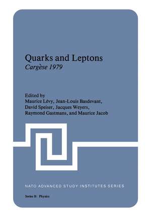 Quarks and Leptons: Cargèse 1979 de Maurice Lévy