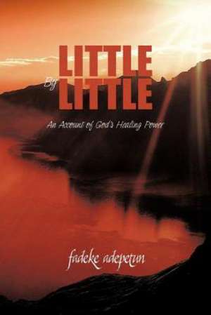 Little by Little de Fadeke Adepetun