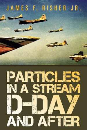 Particles in a Stream D-Day and After de James F. Risher Jr