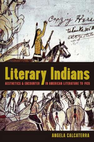 Literary Indians de Angela Calcaterra