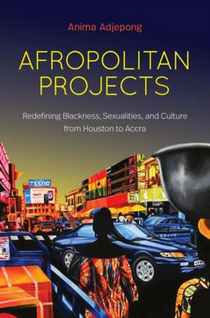 Afropolitan Projects de Anima Adjepong