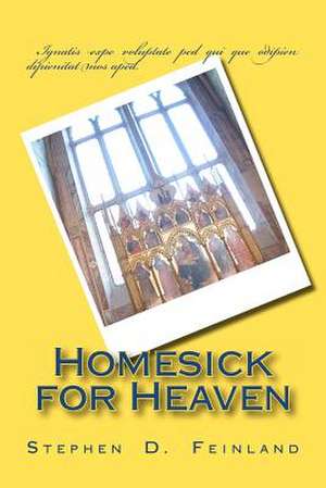 Homesick for Heaven de Stephen D. Feinland