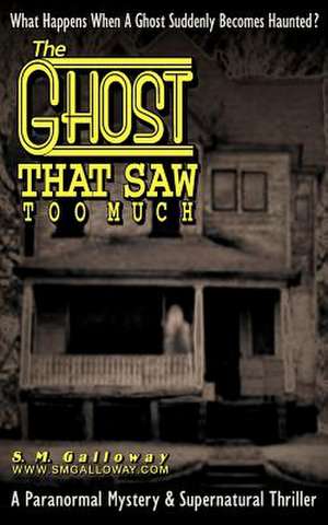 The Ghost That Saw Too Much de S. M. Galloway