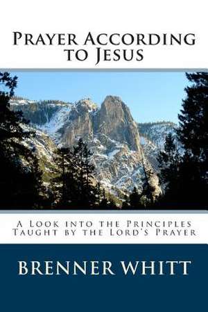 Prayer According to Jesus de Brenner Whitt