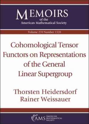 COHOMOLOGICAL TENSOR FUNCTORS ON REPRESE