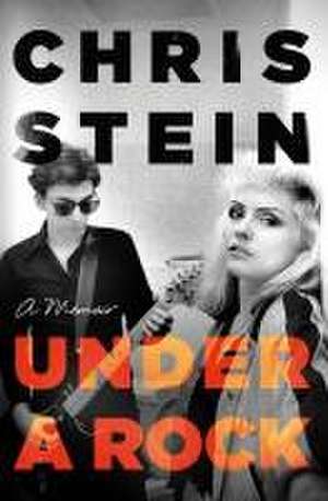 Under A Rock de Chris Stein