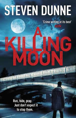 A Killing Moon (DI Damen Brook 5) de Steven Dunne