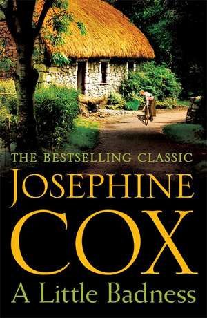 A Little Badness de Josephine Cox