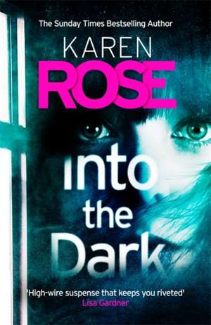 Into the Dark de Karen Rose