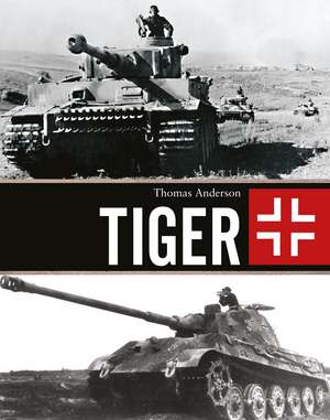 Tiger de Thomas Anderson