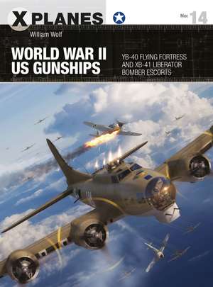 World War II US Gunships: YB-40 Flying Fortress and XB-41 Liberator Bomber Escorts de Dr William Wolf