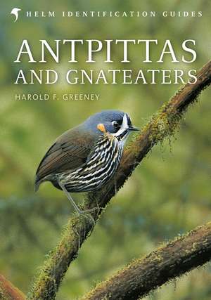 Antpittas and Gnateaters de Harold Greeney