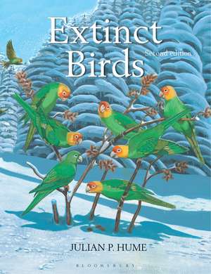 Extinct Birds Birds