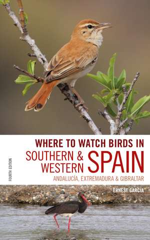 Where to Watch Birds in Southern and Western Spain: Andalucia, Extremadura and Gibraltar de Ernest Garcia