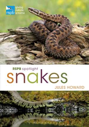 RSPB Spotlight Snakes de Jules Howard