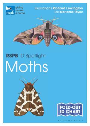 RSPB ID Spotlight - Moths de Marianne Taylor