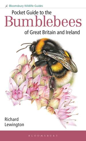 Pocket Guide to the Bumblebees of Great Britain and Ireland de Richard Lewington