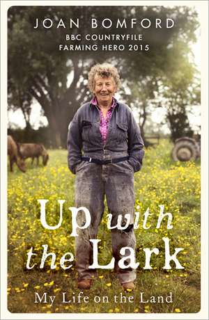 Up with the Lark de Joan Bomford