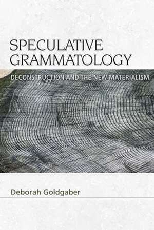 Speculative Grammatology de Deborah Goldgaber