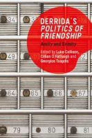 Derrida's Politics of Friendship de Luke Collison