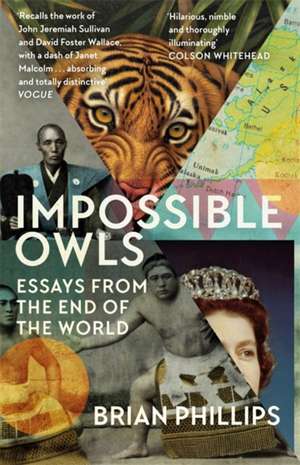 Impossible Owls de Brian Phillips