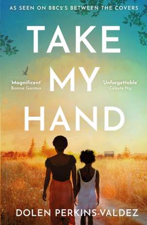 Take My Hand de Dolen Perkins-Valdez