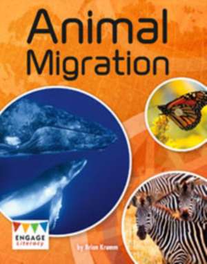 Krumm, B: Animal Migration de Brian Krumm