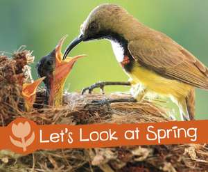 Let's Look at Spring de Sarah L. Schuette