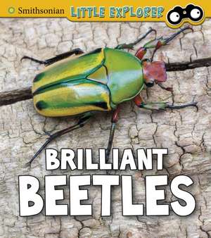 Brilliant Beetles de Melissa Higgins