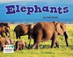 Gaffney, K: Elephants de Ned Meldrum