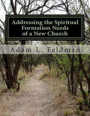 Addressing the Spiritual Formation Needs of a New Church de Adam L. Feldman