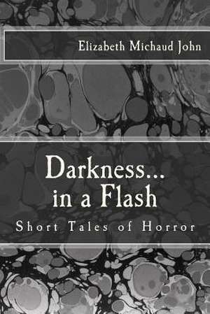 Darkness...in a Flash de Elizabeth Michaud John